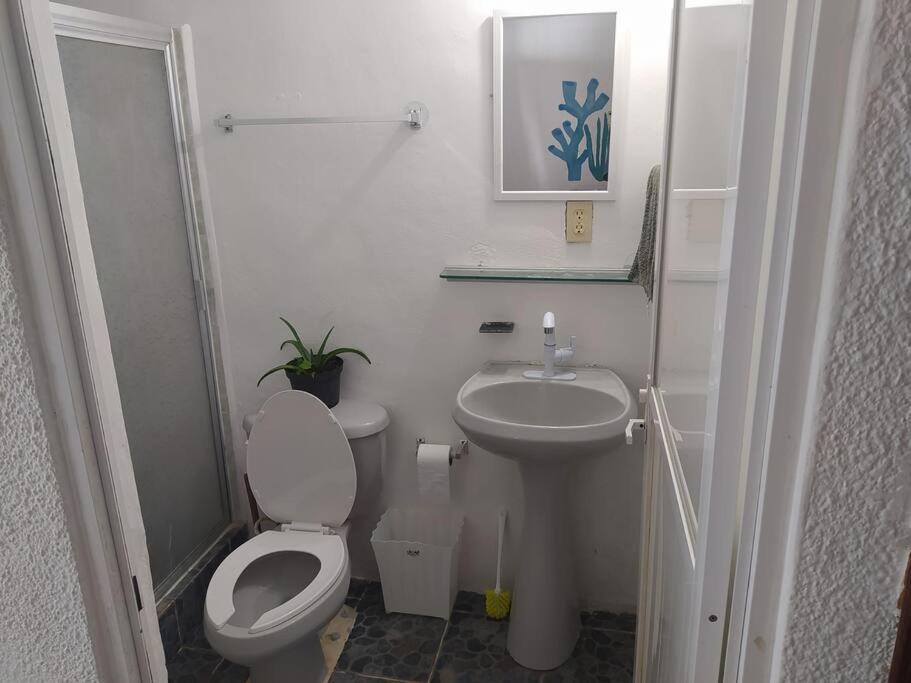 Arrecife Apartment Cancun Exterior photo